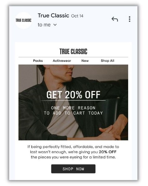lead nurturing - a recovery email from True Classic