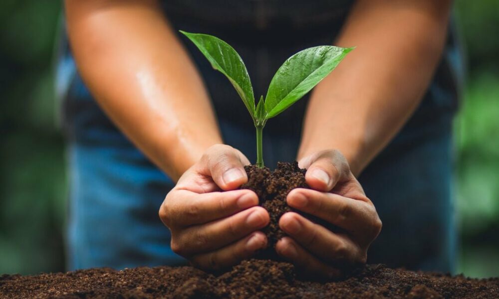 7 Unbeatable Lead Nurturing Strategies (+5 Examples to Follow)