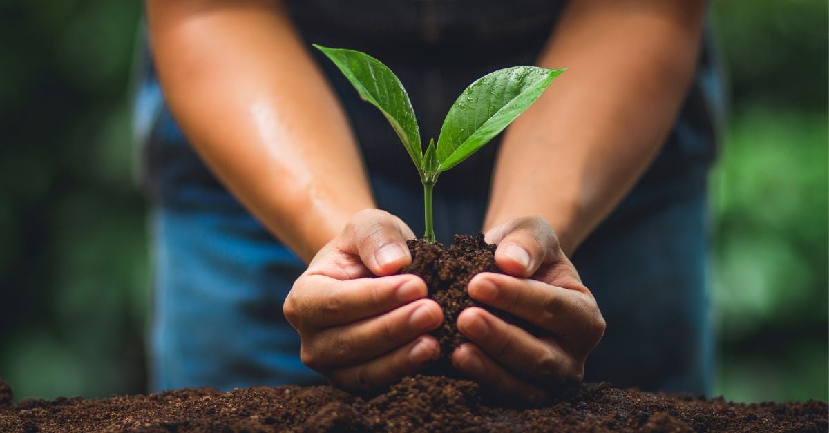 7 Unbeatable Lead Nurturing Strategies (+5 Examples to Follow)