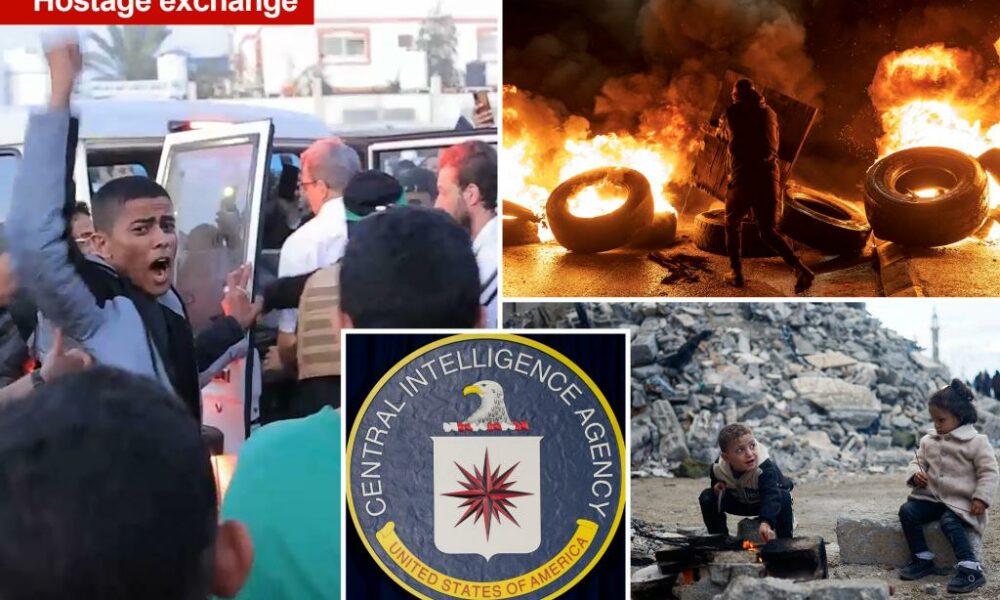 Top CIA agent shared pro-Palestinian to Facebook after Hamas attack: report