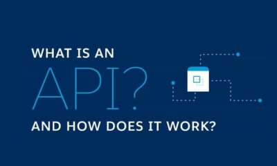 What Is an API, and How Does It Work? [Infographic]