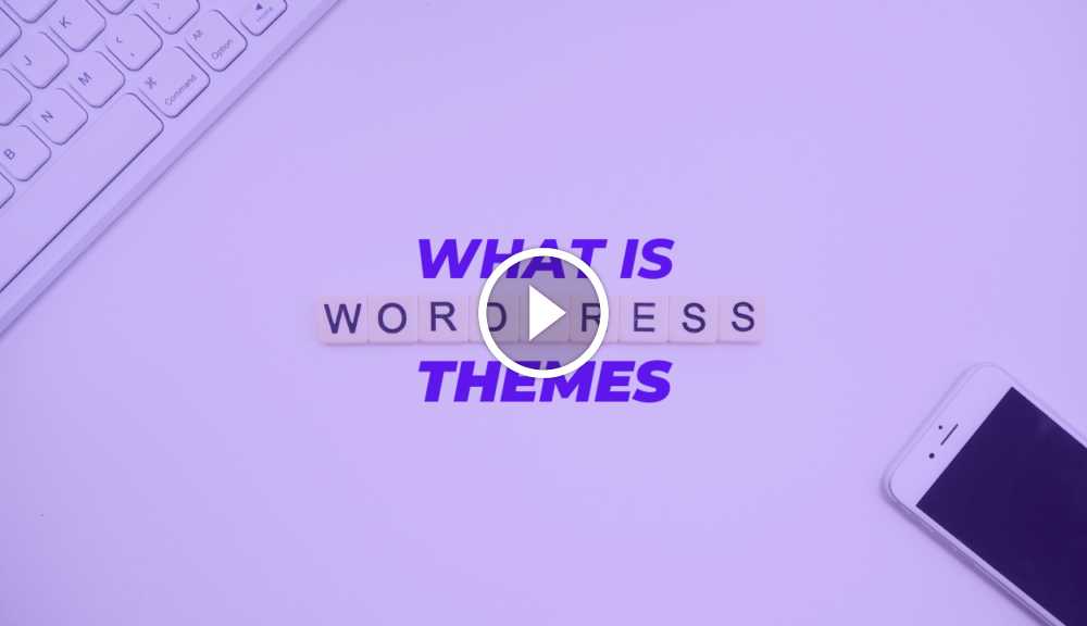 What is WordPress Themes Top 3 Free and Paid Themes