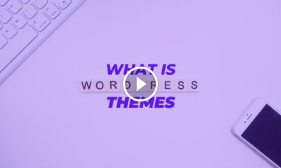 What is WordPress Themes Top 3 Free and Paid Themes