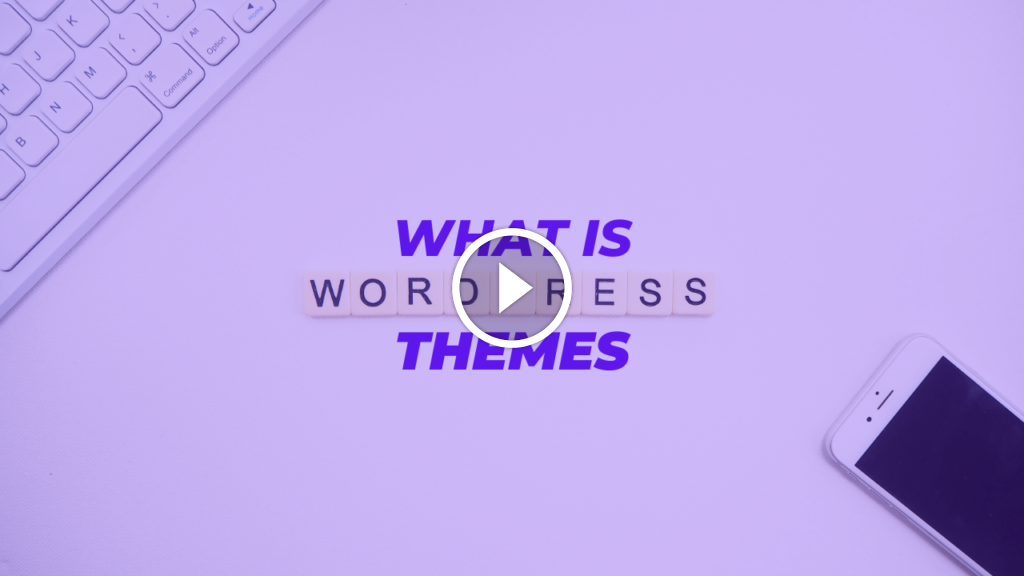 What is WordPress Themes Top 3 Free and Paid Themes