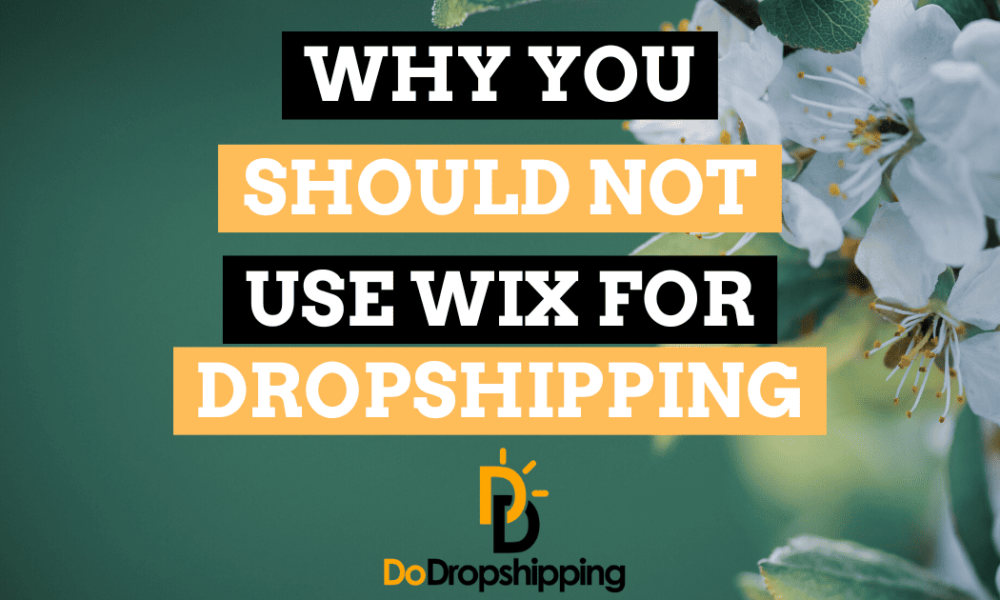 Why You Should Not Use Wix for Dropshipping in 2023