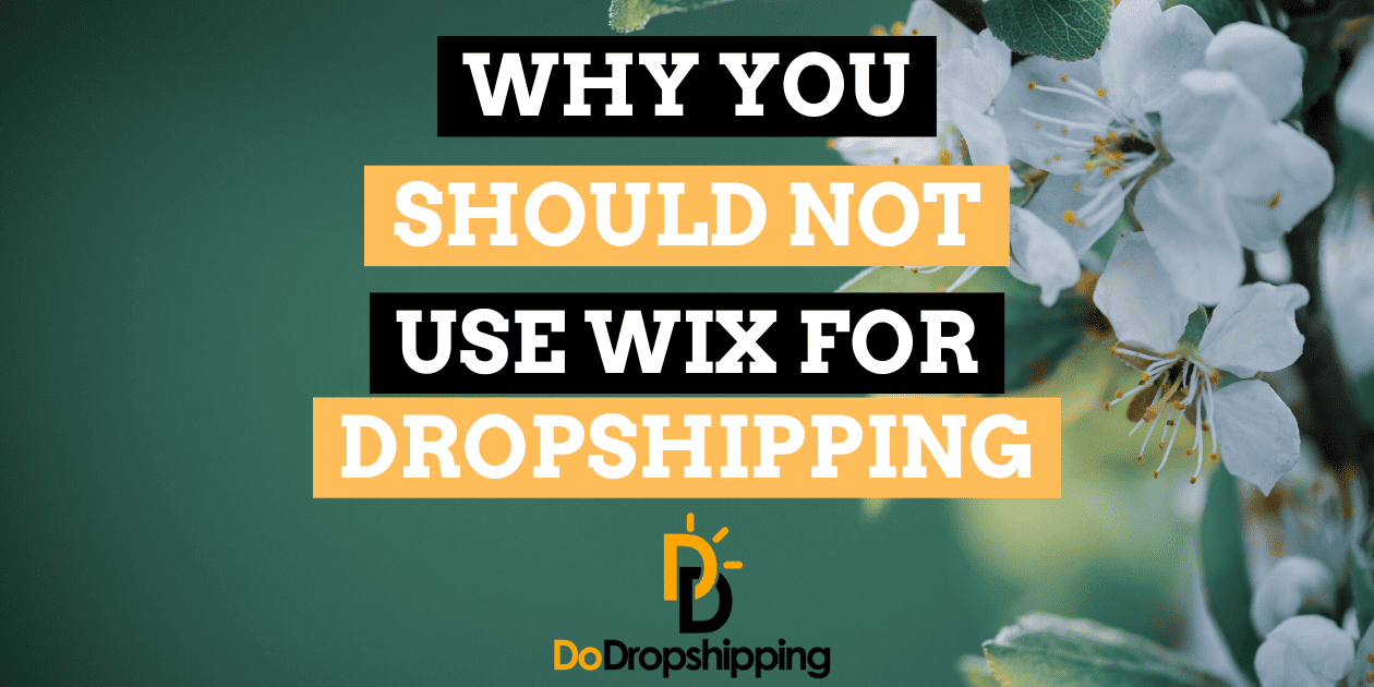 Why You Should Not Use Wix for Dropshipping in 2023