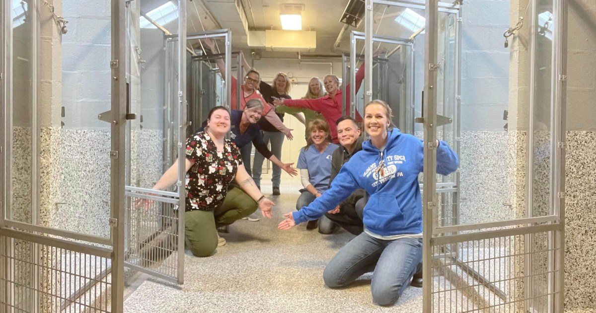 For First Time in Nearly 50 years, Pennsylvania Animal Shelter Is Empty