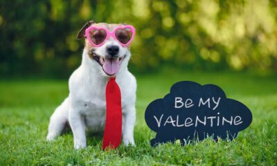 40 Valentine’s Day Messages for Your Clients (with Email Templates!)