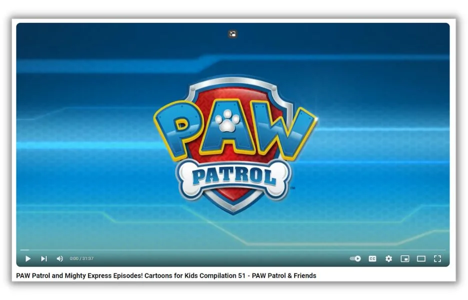 Best time to post on social media - Screenshot of a Paw Patrol video from Facebook.