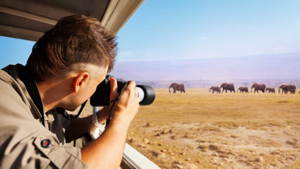 Wildlife Photographer