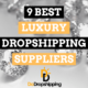 9 Best Luxury Dropshipping Suppliers in 2024 (Free & Paid)