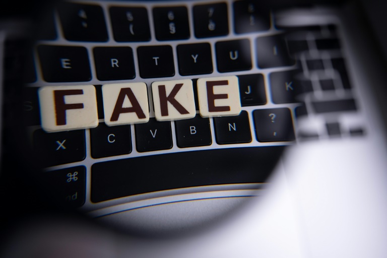 This online disinformation campaign blamed on Russia involves not just the spreading of anti-Ukrainian fake news but also challenges Western media outlets to verify it