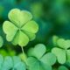 44+ St. Patrick’s Day Greetings & Quotes for Your Marketing