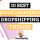 10 Best WooCommerce Dropshipping Themes in 2024