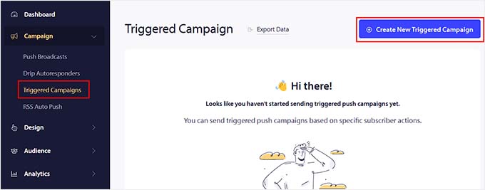 Click the Create New Campaign button