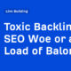 SEO Woe or a Load of Baloney?