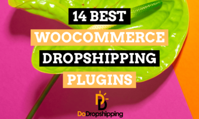 14 Best WooCommerce Dropshipping Plugins in 2024