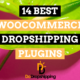 14 Best WooCommerce Dropshipping Plugins in 2024