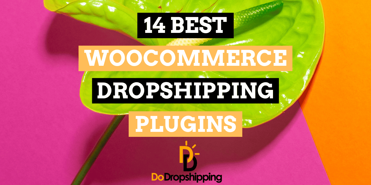 14 Best WooCommerce Dropshipping Plugins in 2024