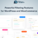Filter Plus - WordPress and WooCommerce filtering plugin