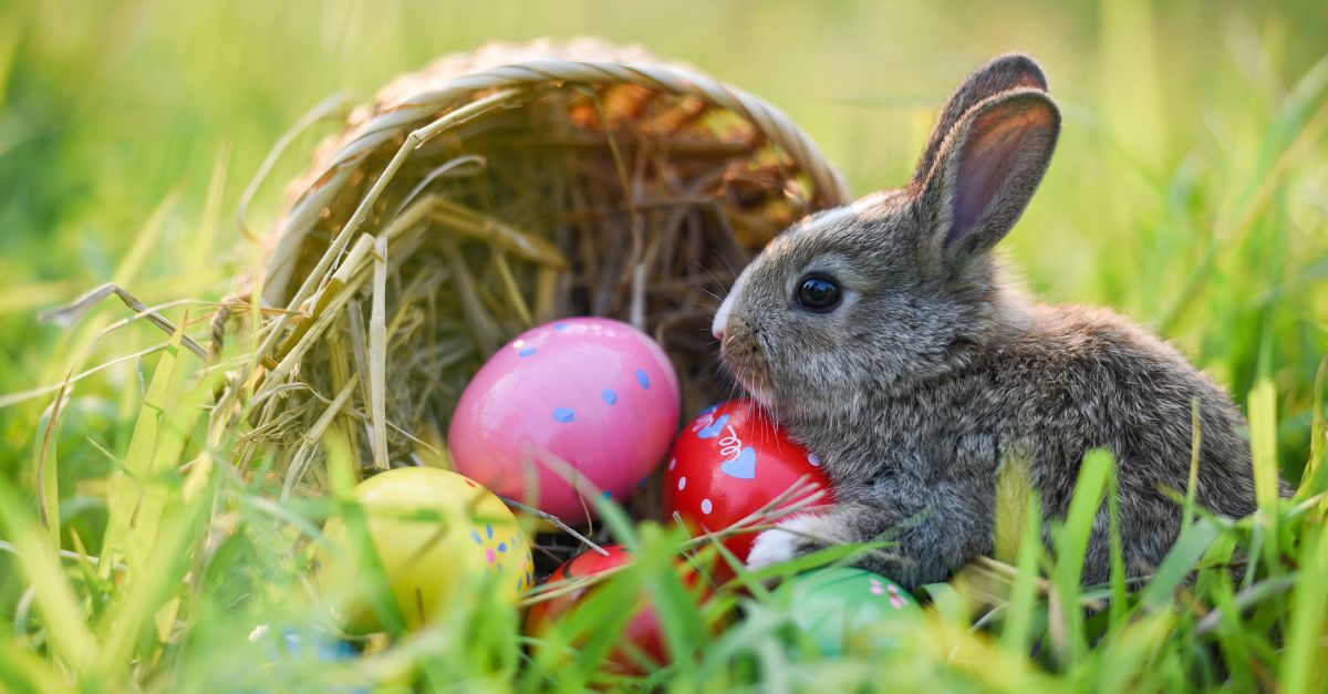 79 Easter Greetings & Messages for Every Bunny