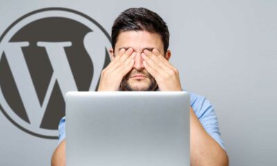 Data Confirms A Surge In WordPress Vulnerabilities