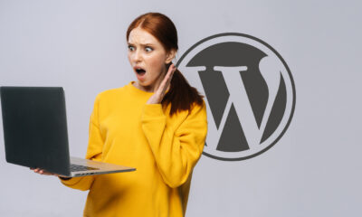 WordPress Site Builder Plugin Accused Of Adding A "Backdoor"