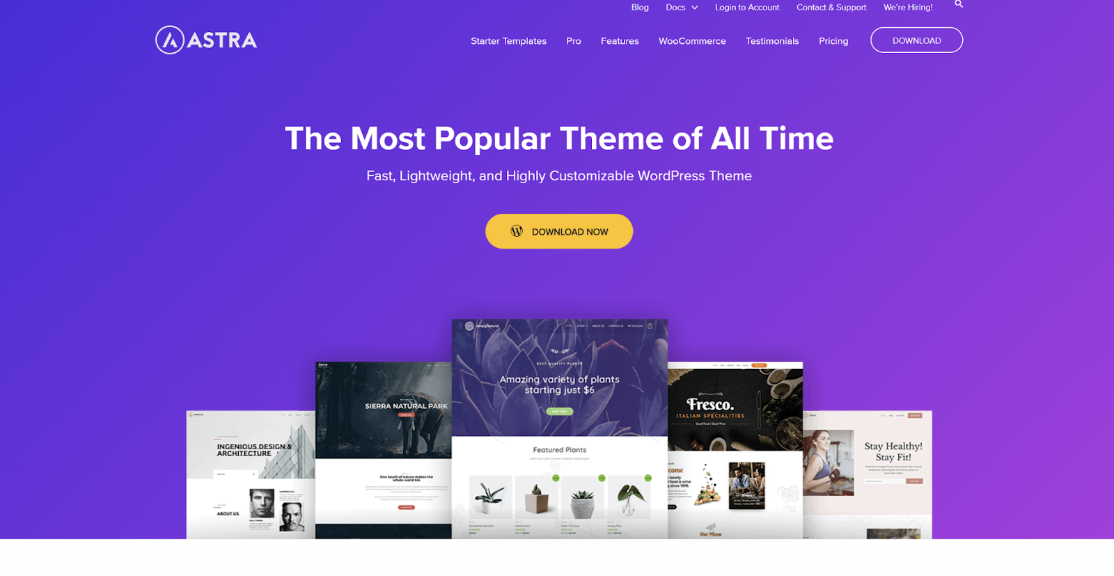 WordPress Themes 101 Free vs Premium and Everything in Between