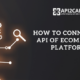 connect to api
