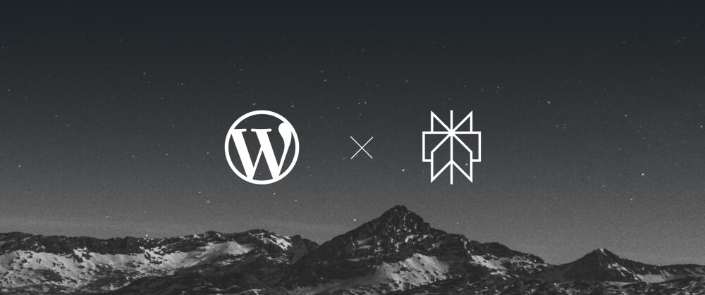 WordPress.com Partners With Perplexity