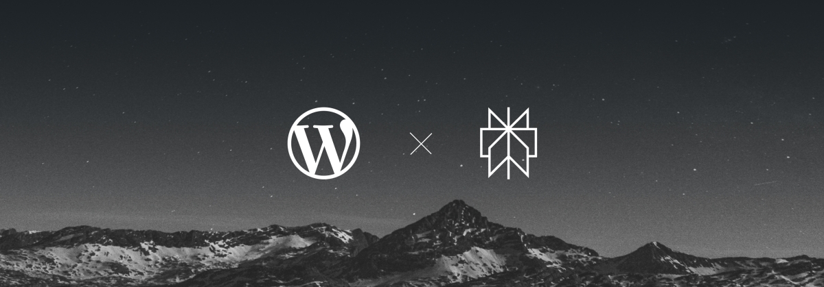 WordPress.com Partners With Perplexity