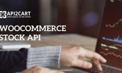 woocommerce stock api