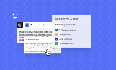 Introducing Write Brief with AI (Beta) – WordPress.com News