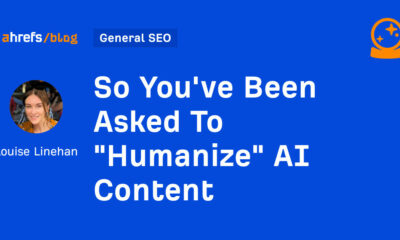 So You've Been Asked To "Humanize" AI Content