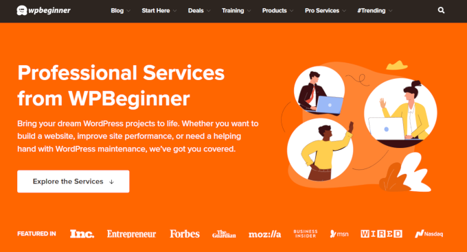 Professional WordPress  Services by WPBeginner