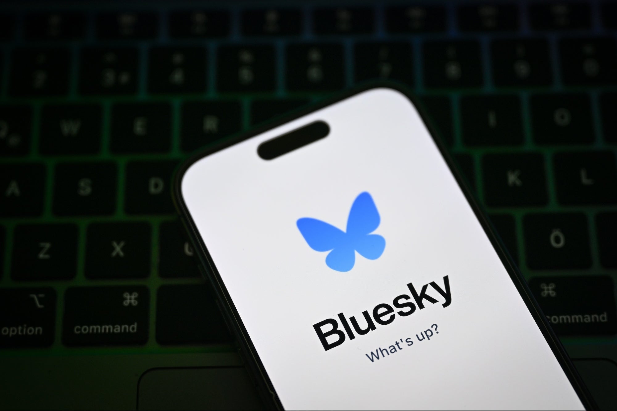 X Rival Bluesky Gains 1.2 Million New Users in 2 Days