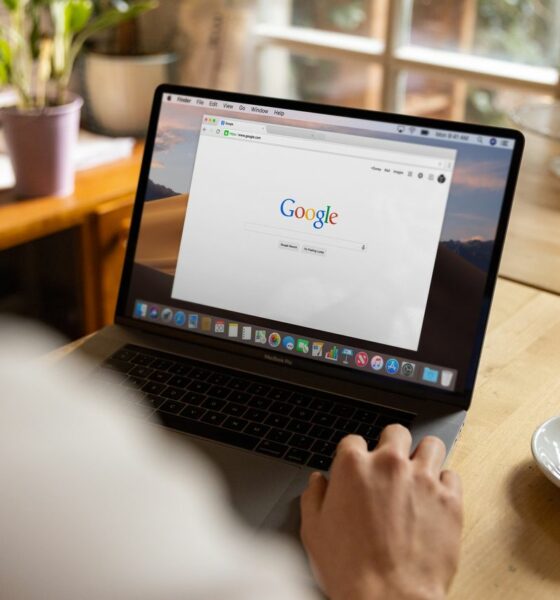 Google Search Console Data Drop Was a Reporting Issue - Here’s What Happened